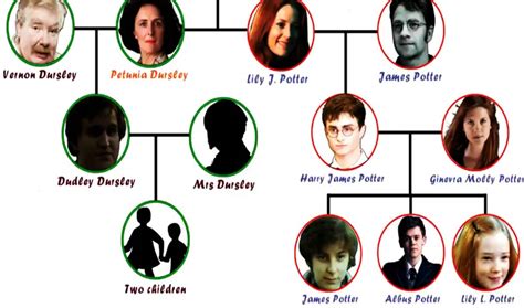 Harry Potter Family Tree Jk Rowling