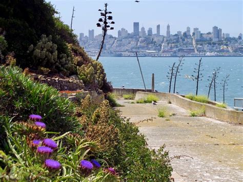 Armchair garden tour: The gardens of Alcatraz – Toronto Gardens