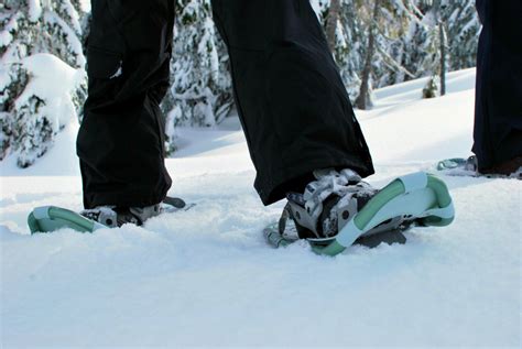 Here's Where to Go Snowshoeing Near Boston