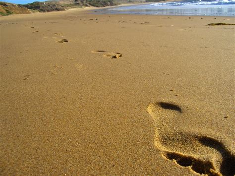 footprints in the sand Free Photo Download | FreeImages