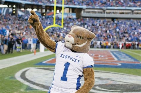 Kentucky Wildcats Mascot