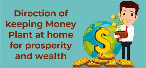 Money Plant Benefits | Interesting Things to Know About Money Plant Placement | AstroVed