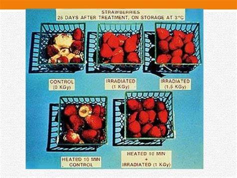 Food Irradiation