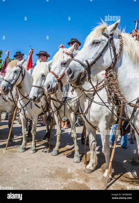 World Gypsy Festival Stock Photo - Alamy