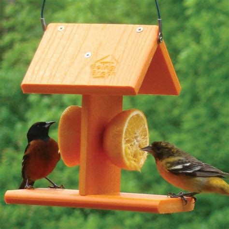 WoodLink Going Green Plastic Oriole Feeder at Lowes.com