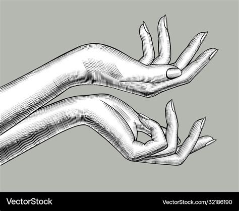 Female hands stretching palm up Royalty Free Vector Image