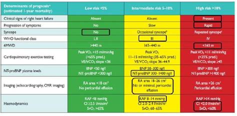 Diagnosis of precapillary pulmonary hypertension. Think outside the box