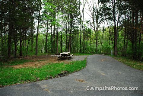 Gifford Pinchot State Park - Campsite Photos and Camping Information