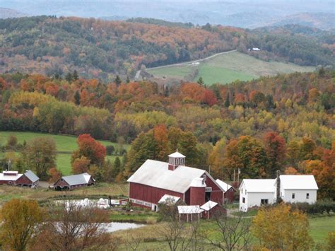 Animal Instinct: FALL TOUR - Barnet Vermont