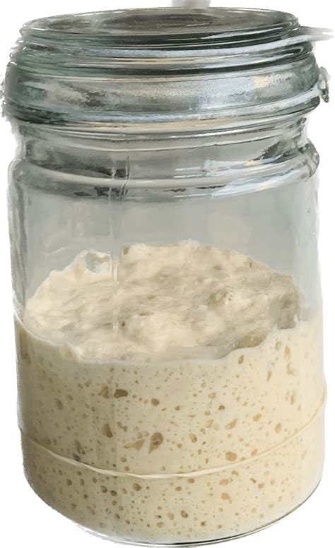 Learn the Art of Sourdough Starter Recipe with a Free 8-Day Course - The Sourdough Science - Medium