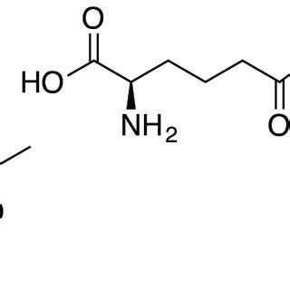 6: The core structure of the cephalosporin antibiotics, 7-ACA (10) and... | Download Scientific ...