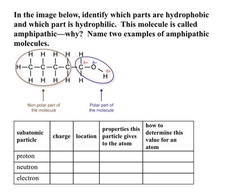 Solved In the image below, identify which parts are | Chegg.com