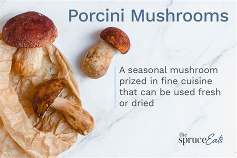 What Are Porcini Mushrooms?