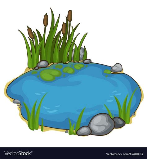 Small lake with reeds. Vector illustration in cartoon style on white background. Image isolated ...