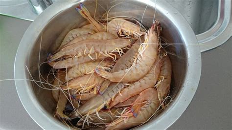 Live Prawns in a Tank at Chun Yeung Wet Market Stock Photo - Image of ...