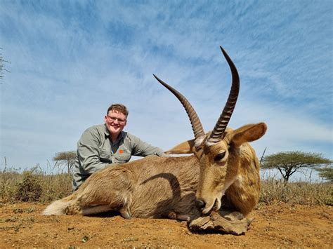 Common Reedbuck Gallery - Numzaan Safaris