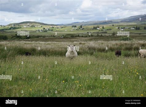 A beautiful Scottish Highlands landscape Stock Photo - Alamy