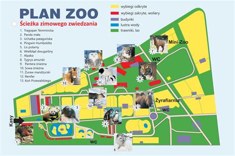 Ścieżka zimowego zwiedzania w krakowskim zoo - Magiczny Kraków