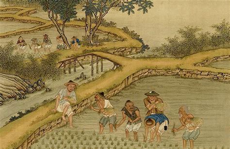 History of diet provides insight into Chinese agricultural civilization-SSCP