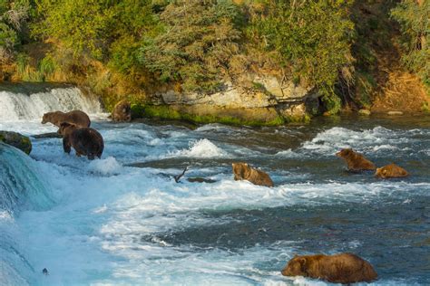 Katmai National Park and Preserve - Go Wandering