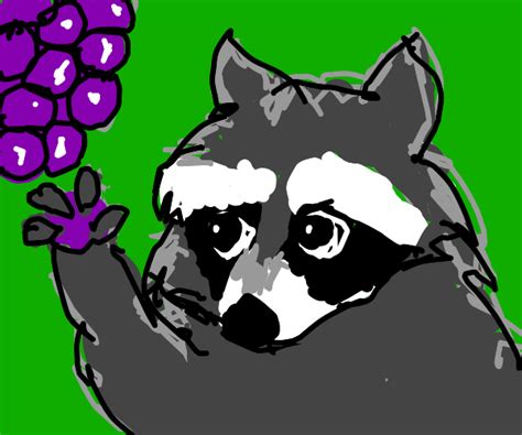 Raccoon eating grapes :) - Drawception