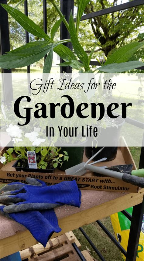 2019 Gift Guide for the Gardener In Your Life (even if it's YOU ...