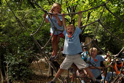 Woodland Park Zoo Blog: Zoo summer camps offer wild times