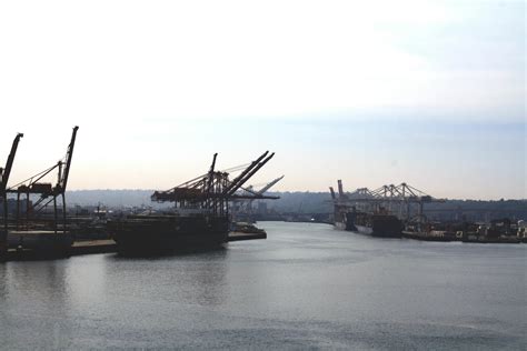 Free stock photo of cargo, cranes, port