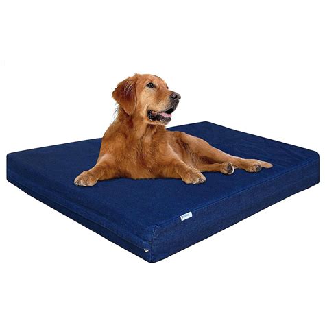 9 of the Best Chew-Proof Dog Beds, According to Reviewers and Pet Owners