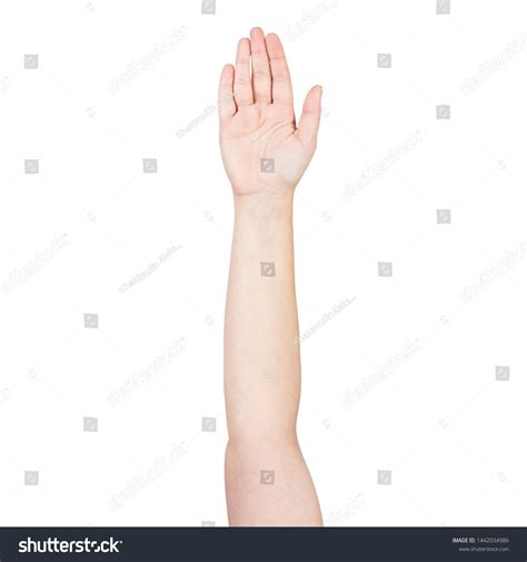 Woman Hand Showing Open Palm Gesture Stock Photo 1442034986 | Shutterstock