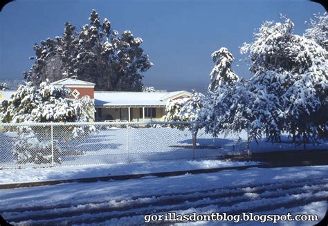 GORILLAS DON'T BLOG: Snow in Los Angeles, 1949