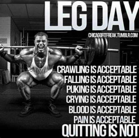 Leg day | Gym quote, Gym motivation, Workout training programs