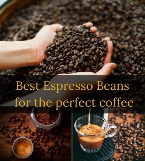 Elevate Your Coffee Game with the Best Espresso Beans in 2023