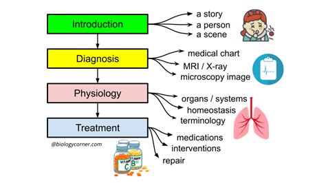 Student Designed Case Studies for Anatomy