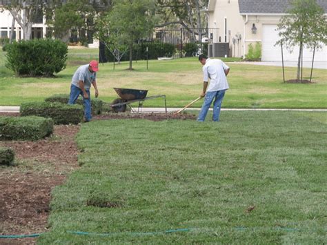 Turfgrass Sod Installation Tips - Pearland Sugar Land Houston