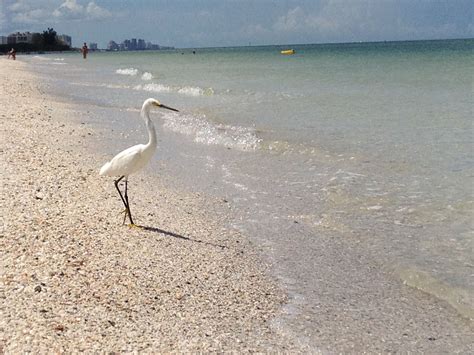 Barefoot Beach, Florida | Breathtaking places, Incredible places, Places to see