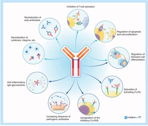 10% liquid human immunoglobulin (KIOVIG®) for immunomodulation in autoimmune disorders ...