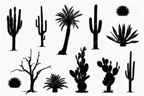 Premium Vector | Silhouette set of desert plants desert trees cactus ...