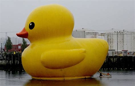 Here’s the deal with that giant rubber ducky in Tacoma | The Seattle Times