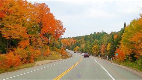 AUTUMN COLORS SCENIC Drive through Algonquin Park Fall Colors - YouTube