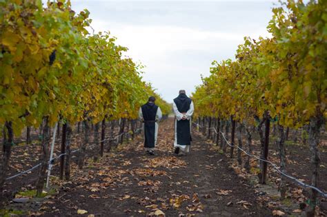 Our Spiritual Drink: A History of Wine and the Catholic Church | America Magazine