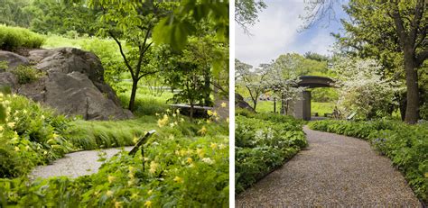 The Native Plant Garden at The New York Botanical Garden | ASLA 2020 Professional Awards