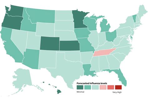 Flu Risk Map (by State)