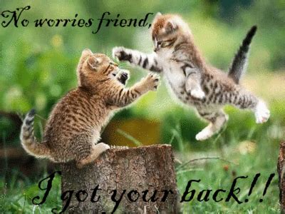 No worries friend, I got your back :: Friends :: MyNiceProfile.com