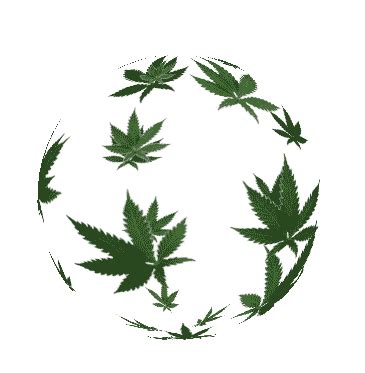 Animated Weed Plant Png - Are you searching for weed png images or vector? - Green Your Life philly