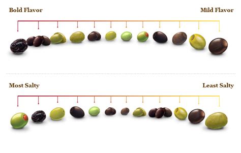 Lindsay's University of Olives has a quick visual guide to help you find your favorite olive ...