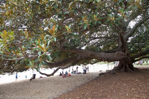 Balmoral Beach Sydney: Sydney's Best Beaches - Adventure, baby!