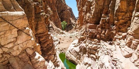 Olive Trail - Hiking in the mountains of the Naukluft - Info-Namibia