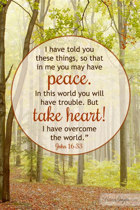 Take Heart! | John 16:33 - Tricia Goyer