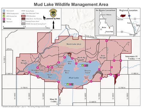 Connelly: Wildlife viewing at Market and Mud Lake WMAs | News | postregister.com